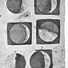SparePort4